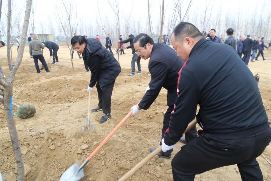 許昌高鐵北站最新消息,許昌高鐵北站最新消息，建設(shè)進(jìn)展與未來展望
