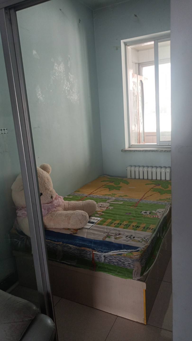 萊西最新租房指南，探尋城市中的理想居住之地